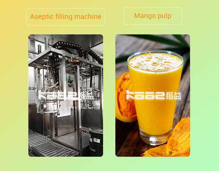 120T/H Mango Pulp Mango Processing Line Fruit Puree Production Line