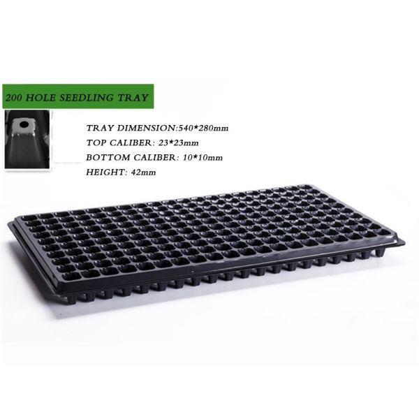 105 Holes Rectangular Polystyrene Seed Raising Tray Deep Cell Plug Trays 540X280mm