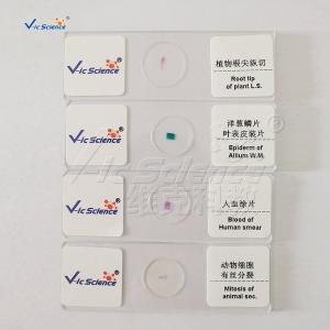 Buy cheap Medical Doctors 25pcs Biological Microscope Slides product