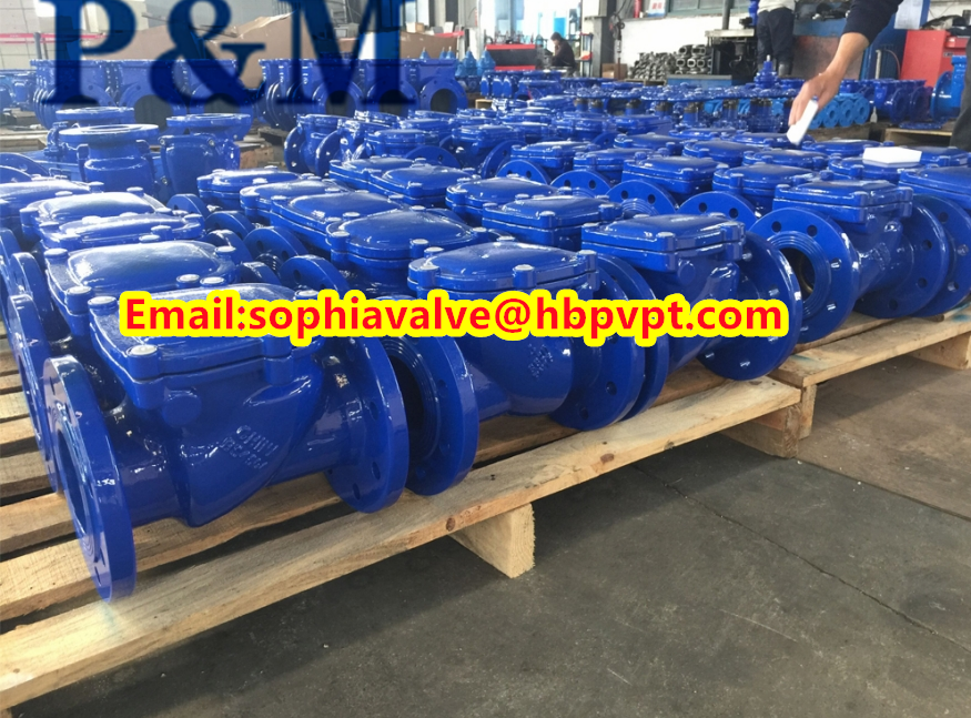 DN100 PN16 GG25 cast iron swing check valve