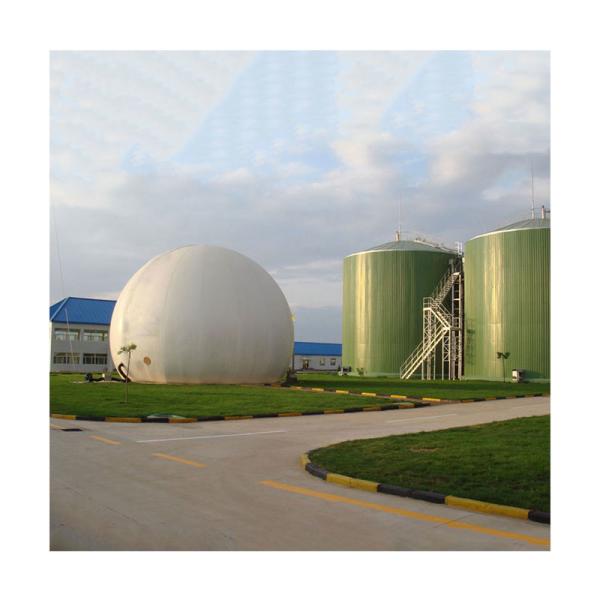Quality Pig Manure Digester Tank Biogas Anaerobic Digester Capacity for sale