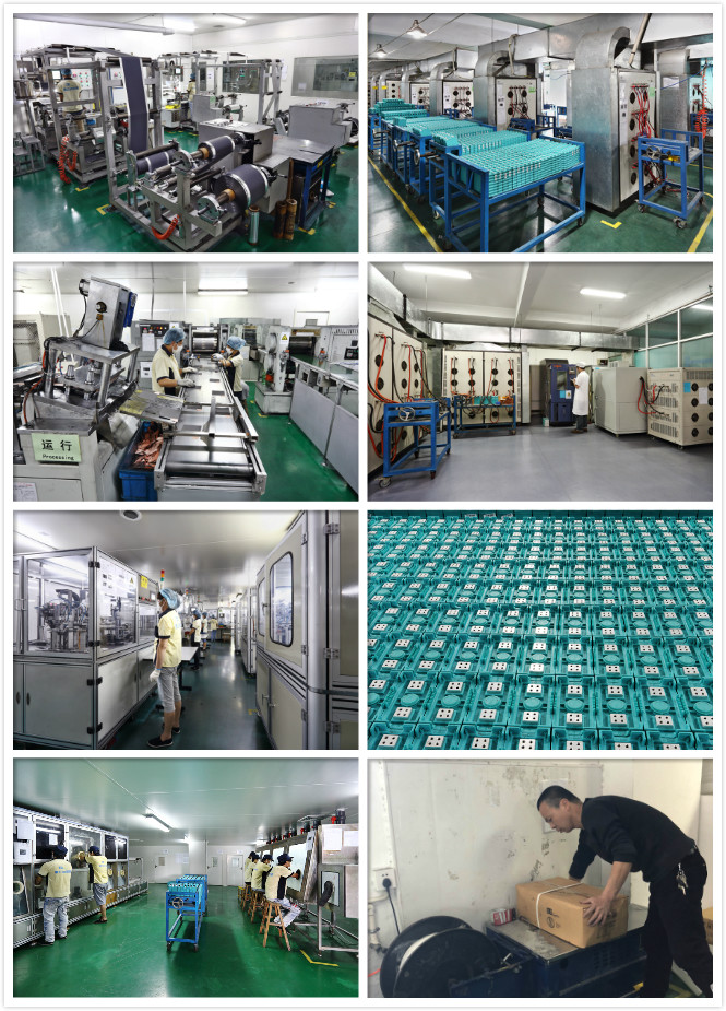 Lithium Ion Battery For Solar Panels , 24v 20Ah Lifepo4 Rechargeable Battery