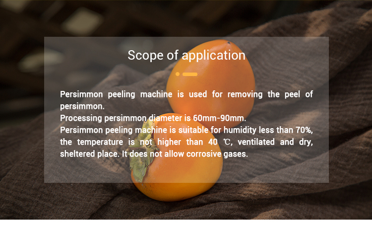 Persimmon Peeling Machine Compact Structure Persimmon Drying Machine