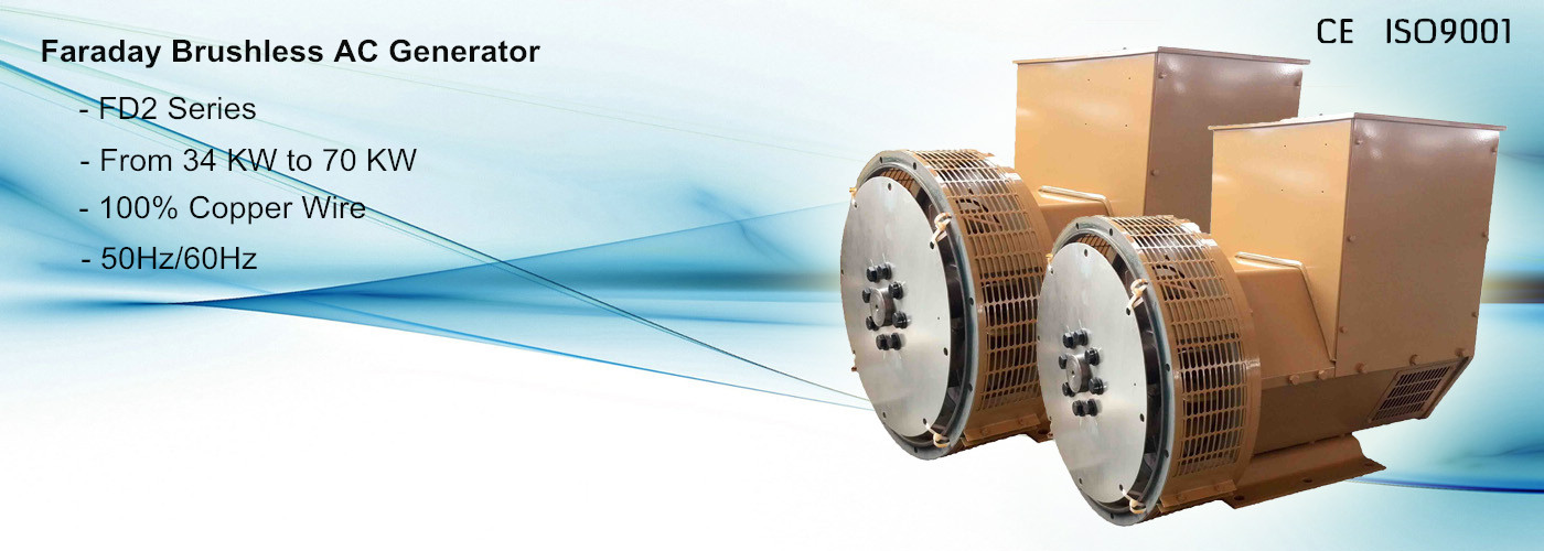 single phase synchronous brushless generator