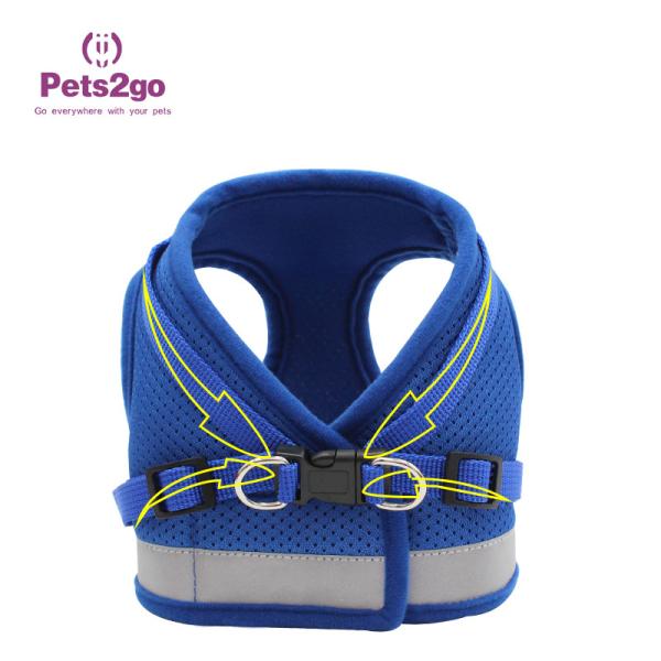 Quality Easy Using Waterproof Bluetooth Speaker Easy Walk Dog Leash for sale