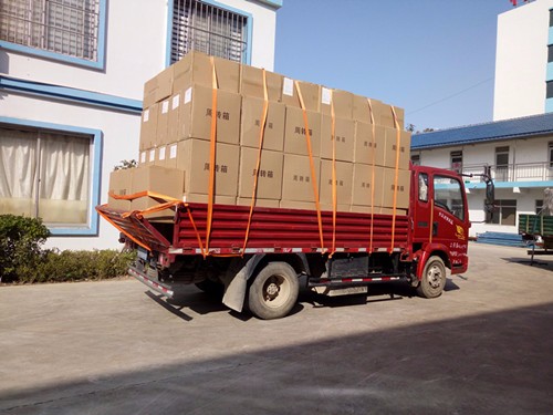 Disposable Blister Medicine Vial Packing Tray Customizable for Customer Requirements