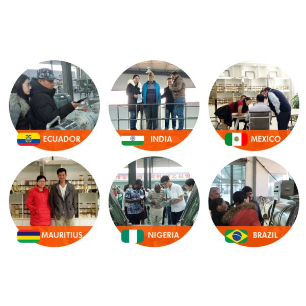 30*4*4m Silver Extruded Wheat Flour Bugles Chips Frying Snacks Food Processing Line Machine