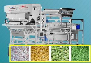 Precise Target Frozen Onion / Green Bean Sorting Machine 1.5-2.0 T/H