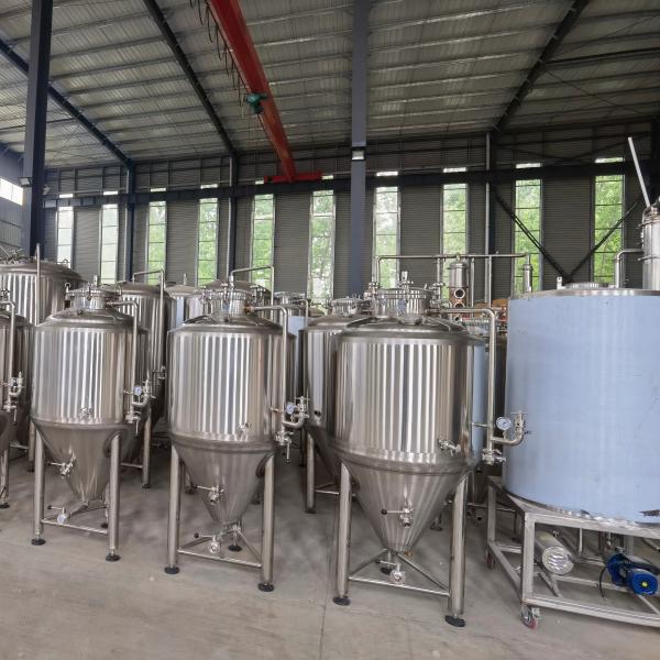 Quality 600l Brewery for Home Beer Equipment Advanced and Perfect Beer Processing at Home for sale
