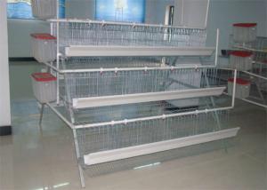 China 160 Birds Layer Chicken Coop Q235 Conventional Cages For Laying Hens on sale