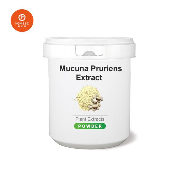 Quality Discover the Potent Effects of 4 1 Mucuna Pruriens Extract for Your Health for sale