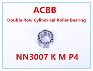 NN3007 K M W33 P4 Double Row Full Complement Cylindrical Roller Bearings