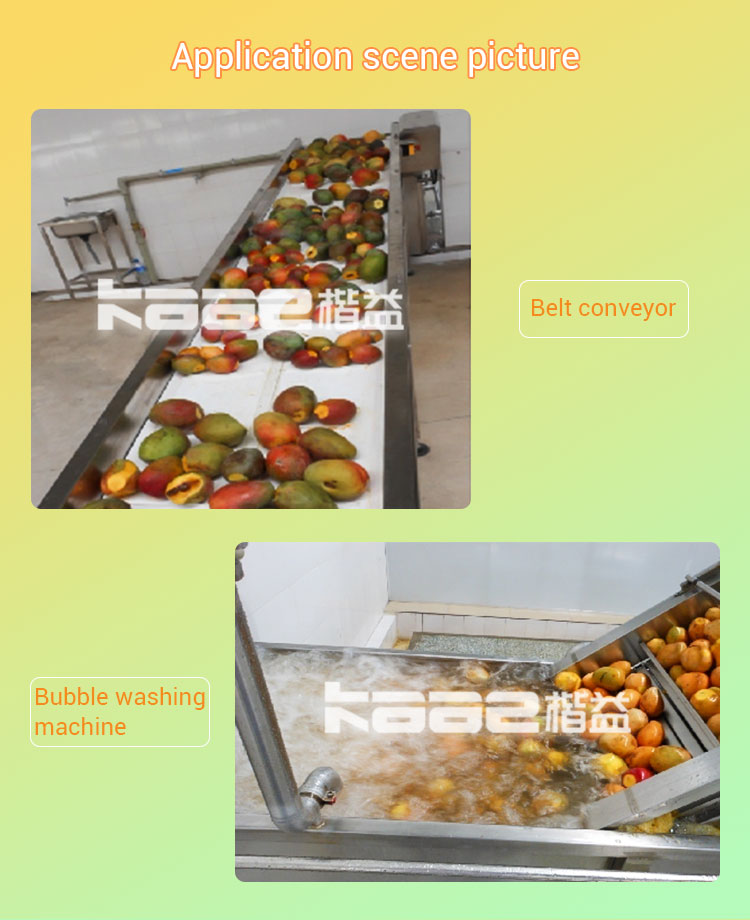 Automatic Mango Juice Production Line SS304 All Fruit Juice Making Machine