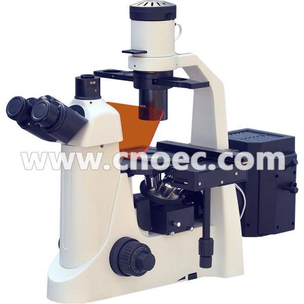 Quality Learning Inverted Fluorescence Microscope Rohs CE A16.2703 for sale