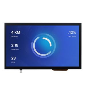 10.1 Inch Tft Lcd Touch Screen ,1024x600 50 Pins 320 CD/M2 24bit RGB