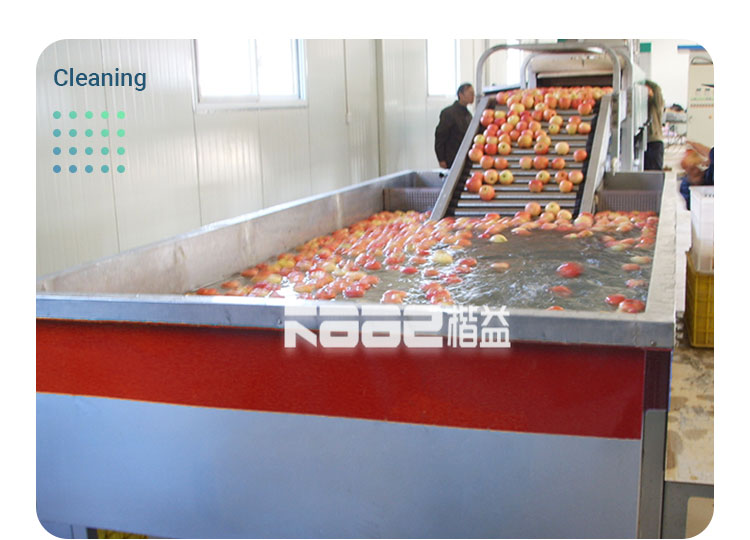 SS304 Automatic Fruit Sorting Machine Photoelectrical Fruit Grader Machine