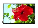 Mipi Interface 10.1 Inch IPS Lcd Display 1280x800 For Tablet
