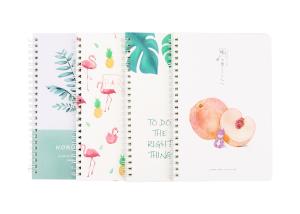 Buy cheap Art diy Spiral Bound Book custom spiral binding book printing product