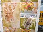 8 Colors Flexo Printing Machine for Laminated Paper and Multilayer Composite