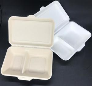 China Eco Biodegradable 1000ml 2 Compartment Lunch Box Surgance Pulp Tableware Food Container on sale