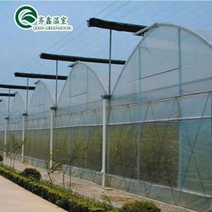 China Plastic Film Covered Polytunnel Greenhouse with Hydroponic System and Ventilation on sale