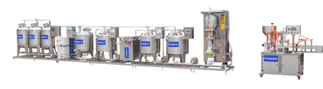 Industrial Yogurt Maker Machine Price Small Milk Pasteurizer Plant Cheese Yogurt Production Line