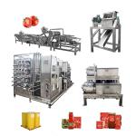 SS304 / 316L Tomato Ketchup Processing Line 1 - 10T/H Long Service Life