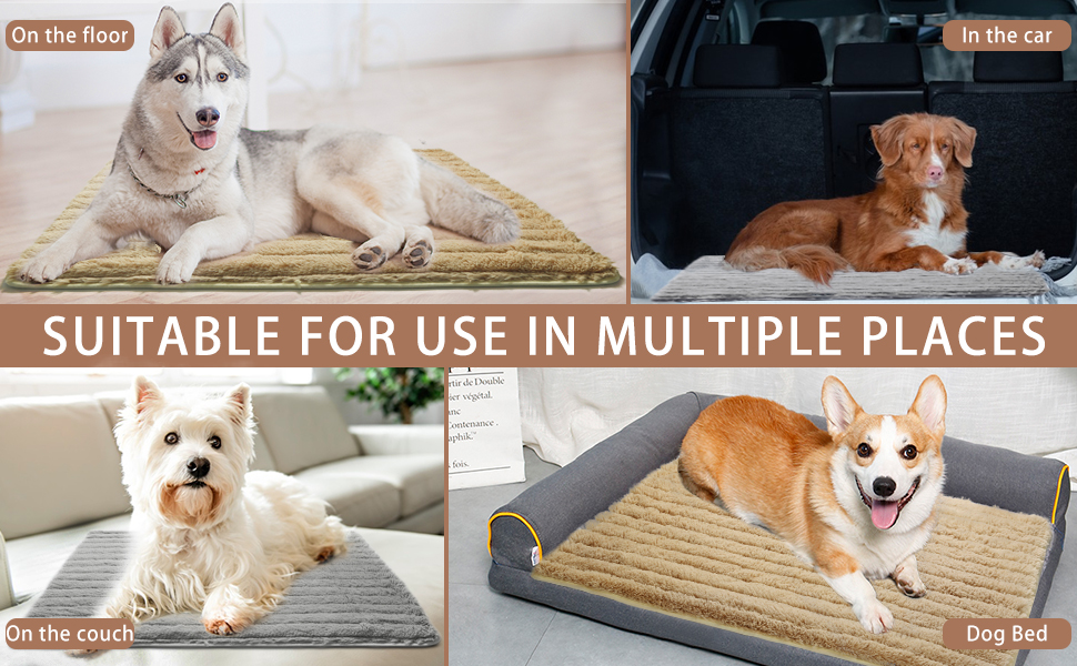 dog warming pad