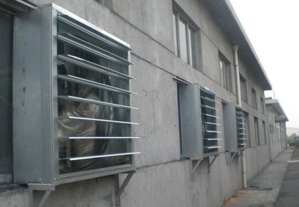 Quality 2013 HOT!!! poultry farm fan for sale
