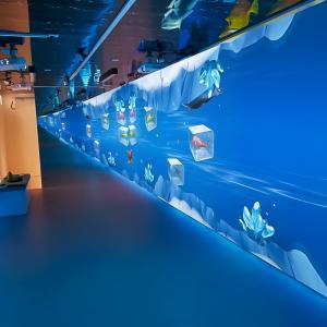 Buy cheap Immersive Exploration Classrooms Augmented Reality Interactive Wall Projection product