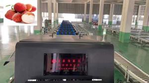 Buy cheap 50Hz Size Quality Sorting Machine 1 Channel Fruit Graders For Litchi product