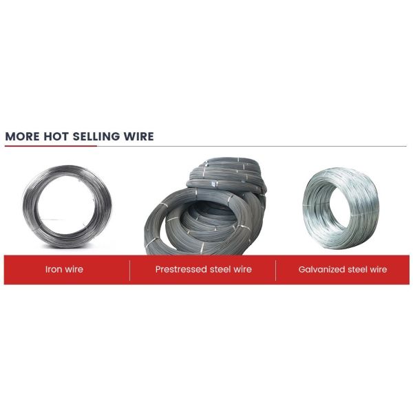 Ck67 2.70-3.00 Sae Astm1006/1008 Cold Drawn Spring Galvanized Wire