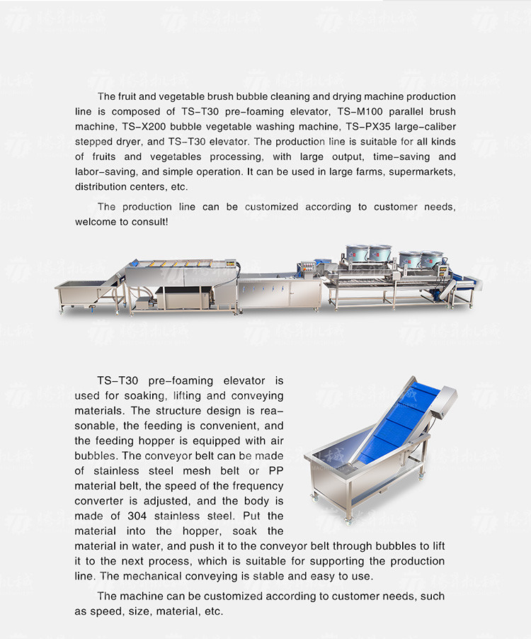 Revolutionize Your Production Process with Our Fruit And Vegetable Processing Line