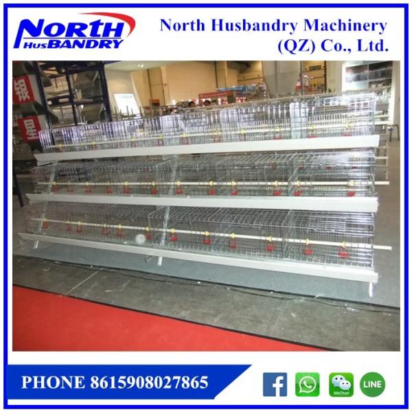 Quality Tempat Minum Ayam|ALAT Ternak|Alat Ternak UNGGAS Alat for sale