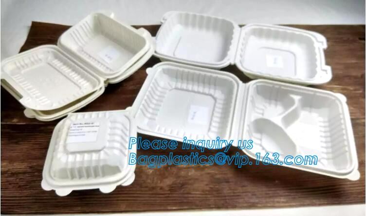 Blister large clear plastic fruit container with lid for fruit packaging,blister fruit box /container/ fruit Tray/ Clear
