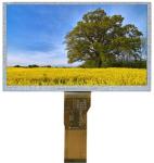 7 Inch 800x1280 TFT LCD 16/18/24 Bit MIPI IPS LCd Display Module