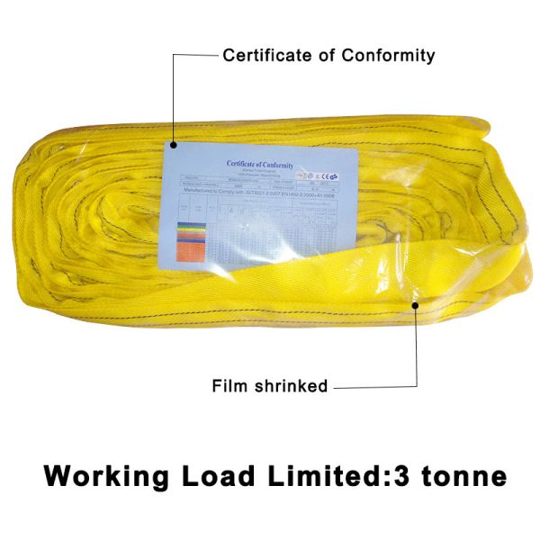 WLL 3T Endless Polyester Round Sling EN1492-2 CE GS TUV Certification
