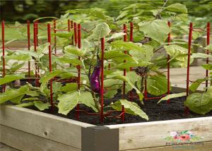 Decorative Eggplant Metal Garden Trellis , Trellis Plant Support  For  Eggplant