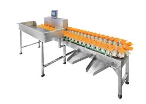 China Circular Potato Tomato Grading Conveyor Belt Weight Sorting Machine on sale