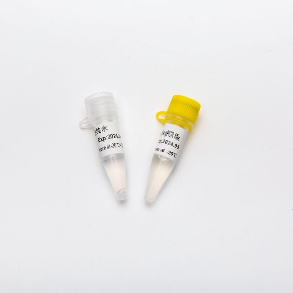 P2601-5 Multiplex Probe QPCR Mastermix P2601 1ml 66 Rxn 30U