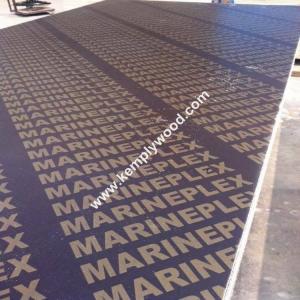 4x8feet top quality brown film faced plywood, 18mm shuttering plywood, marine plywood