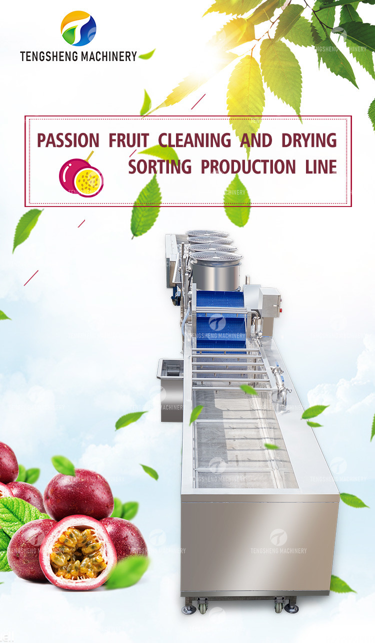 Passion Fruit Bubble Cleaning And Drying Sorting Production Line