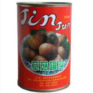 Fresh Natural Raw Material Canned Fruits Vegetables 425g Farm Mushroom