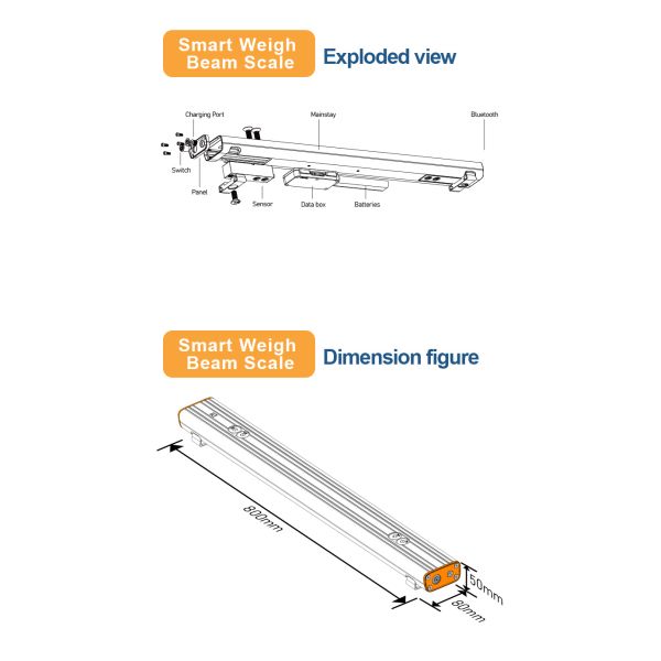 Smart Industrial Strip Scale Weigh Range 1-4500kg bluetooth APP Printing Onsite