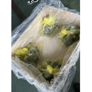 Buy cheap Rexroth A10VSO140DR High Pressure Hydraulic Pump 315 Bar from wholesalers