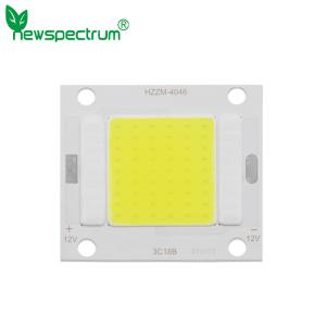 Buy cheap Full Specturm Flip Chip COB LED Module Customized Logo For Spotlight product