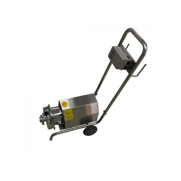 Quality Low Maintenance Sanitary Centrifugal Pump For Biological Engineering for sale