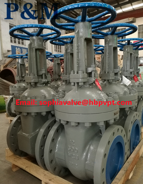 300LB WCB cast steel gate valve