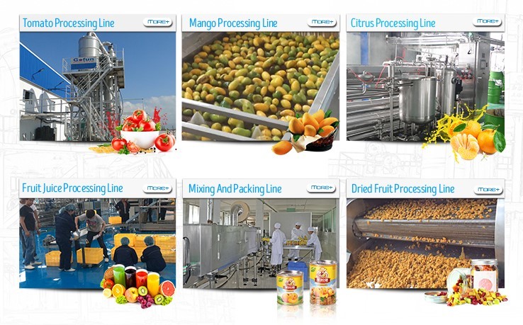 SS304 Complete Tomato Processing Line 1500T/D Easy Operation