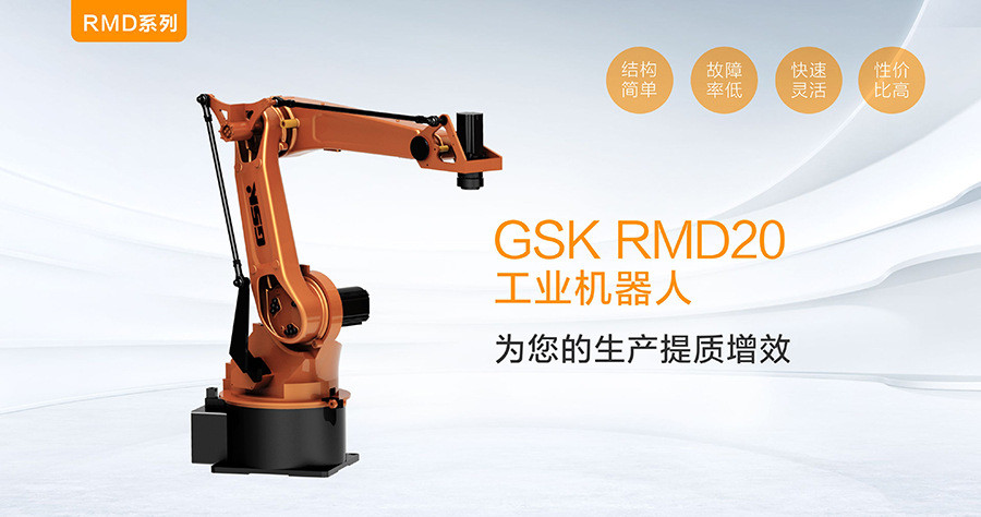 PLC RMD20 GSK Robot Automated Palletizing Robot Equipment